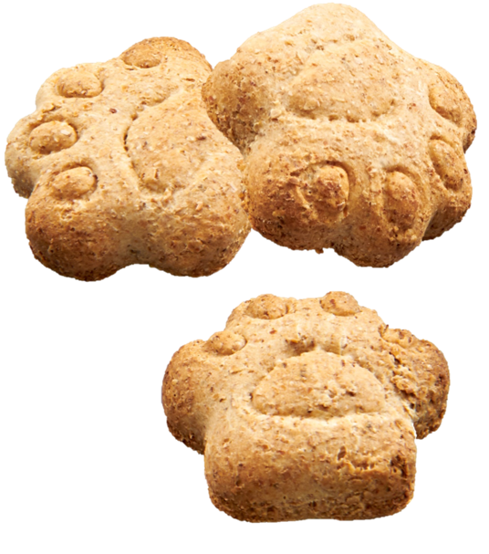 Banana & Peanut Butter Flavour Baked Puppy Treat